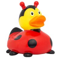 Ente Marienkäfer
