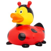 Ente Marienkäfer
