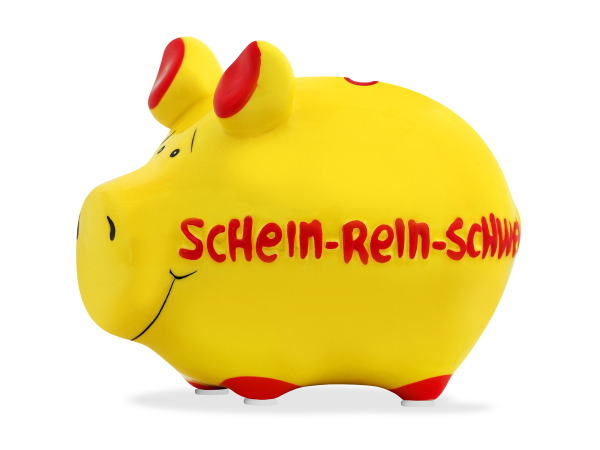 Sparschwein Schein-Rein-Schwein