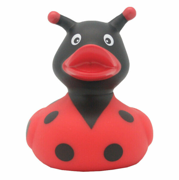 Ente Marienkäfer