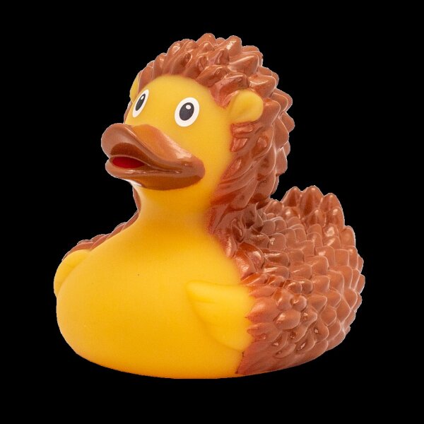 Ente Igel – niedliche Badeente mit Stachel-Charme