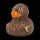 Ente Whooping – auffällige Badeente mit Energie
