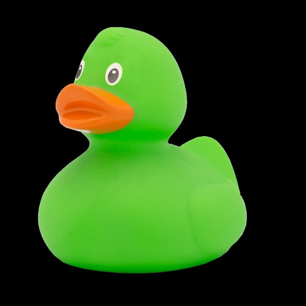 Ente Grün – frische Badeente mit Natur-Charakter