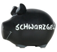 Sparschwein Schwarzgeld