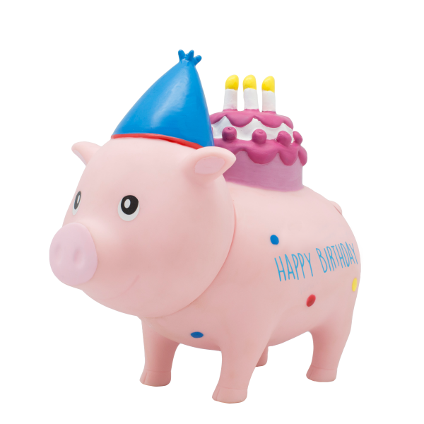 Biggys Sparschwein Geburtstag