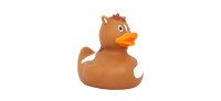 Ente Pony