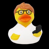 Ente IT Entwickler
