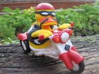 Ente Kautschuk Roland Rocker – rebellische Badeente...